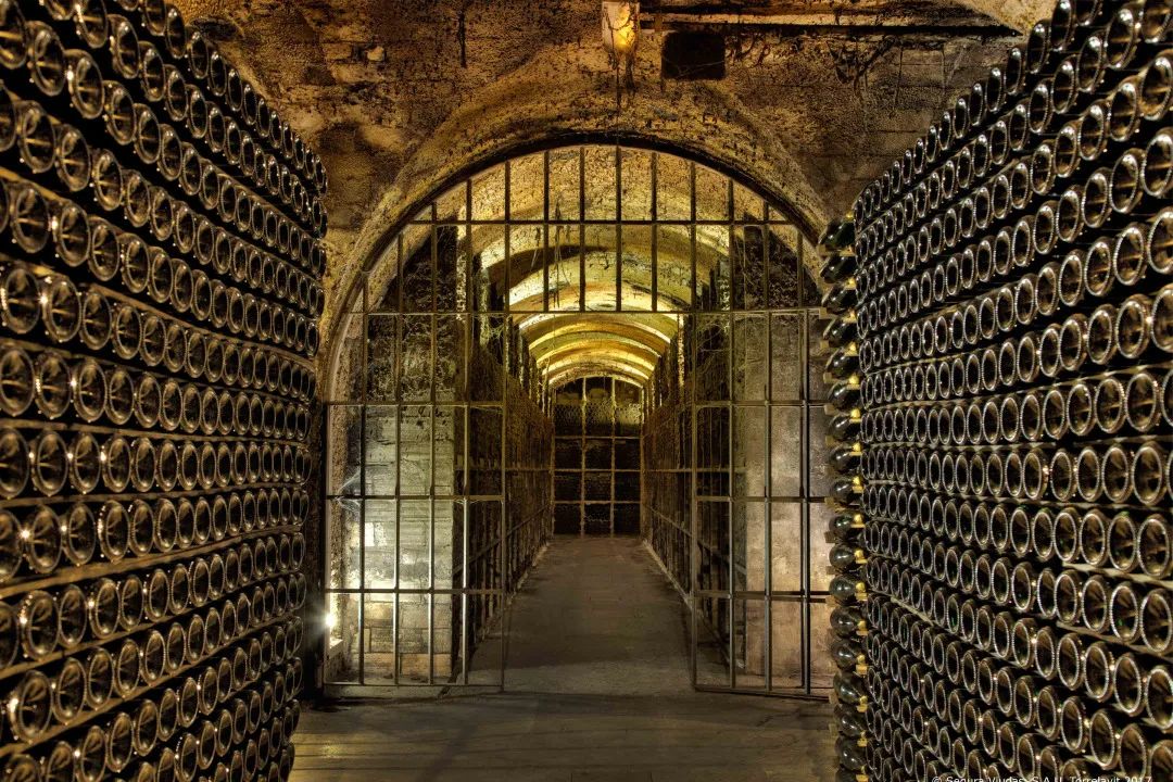 穿越时空的葡萄酒窖设计丨西班牙-24