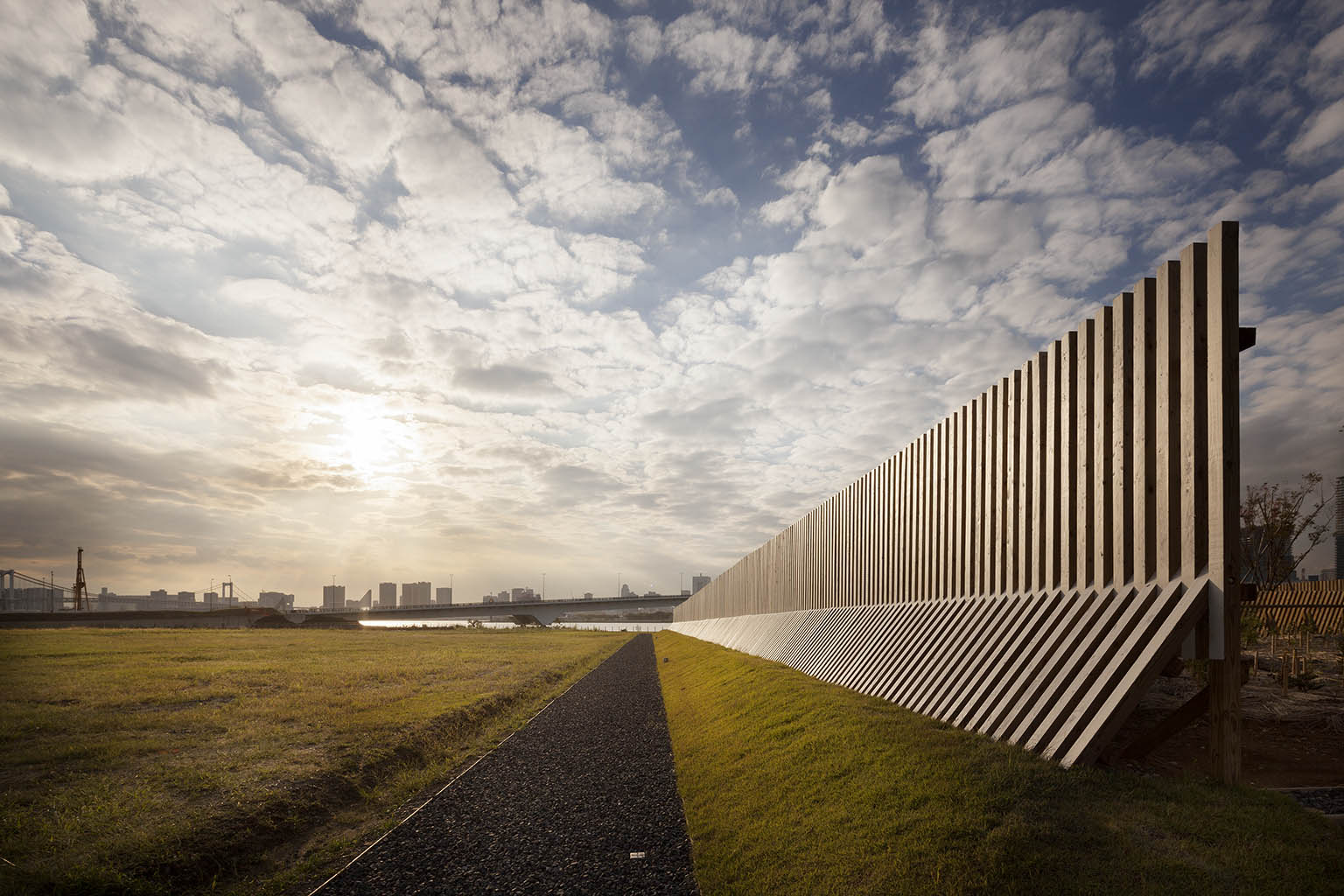 东京湾中心 · 绿色交叉项目丨日本东京丨三谷彻等-23
