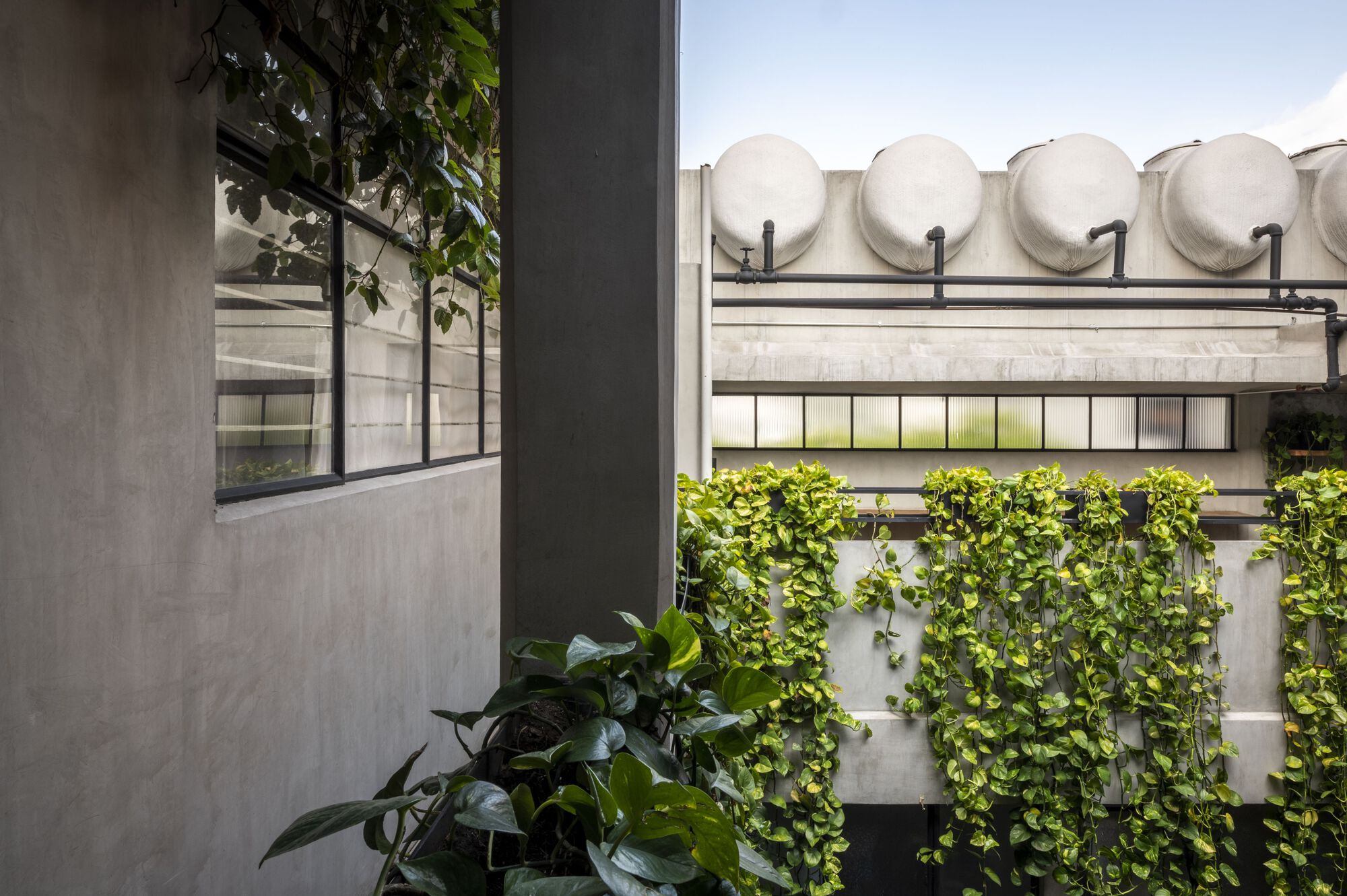 Pachuca 81 建筑改造丨墨西哥墨西哥城丨Namikase Studio-13