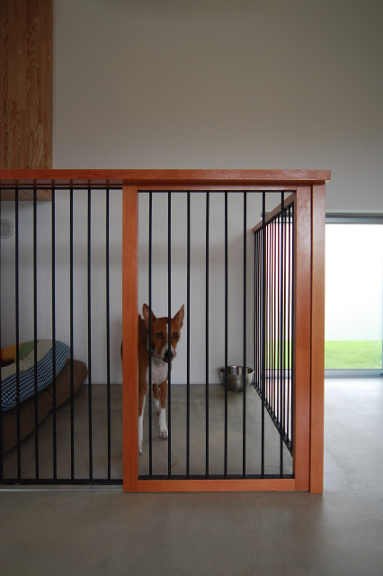 丨日本宫崎丨有限会社 COGITE-19