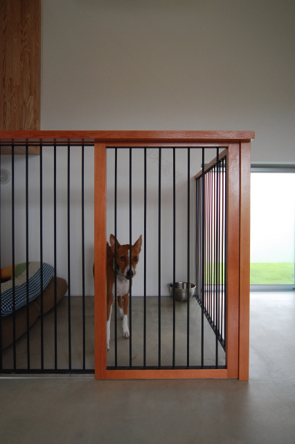 丨日本宫崎丨有限会社 COGITE-19