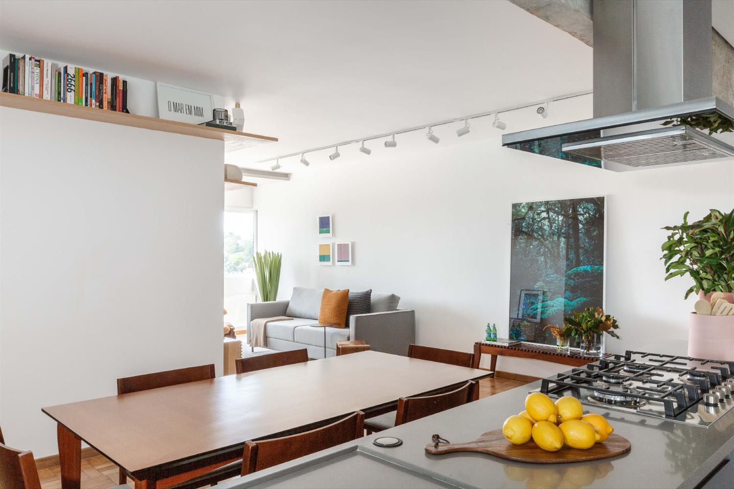 简约艺术风巴西公寓设计-17