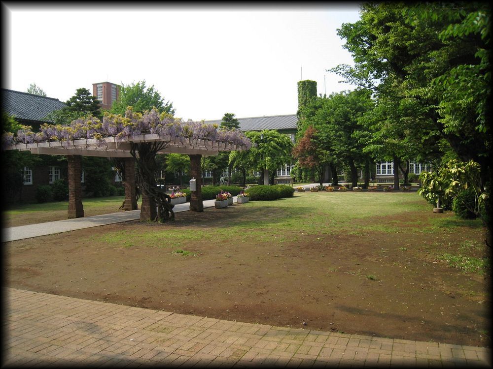 立教大学池袋キャンパス丨日本京都-7