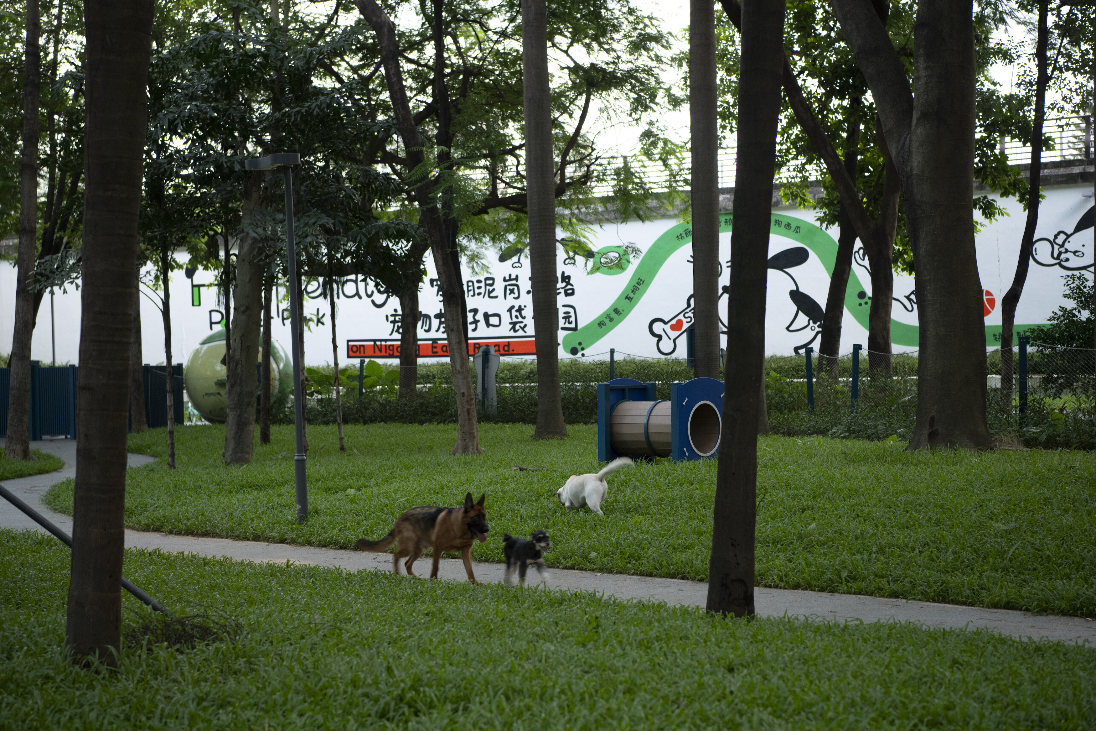 深圳市罗湖泥岗东路宠物友好口袋公园丨中国深圳丨深圳市未名设计顾问有限公司罗湖分公司（WMLA）-49