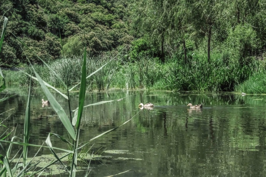 怀柔渤海镇栗花溪谷风景道提升设计丨中国北京丨九源(北京)国际建筑顾问有限公司-162