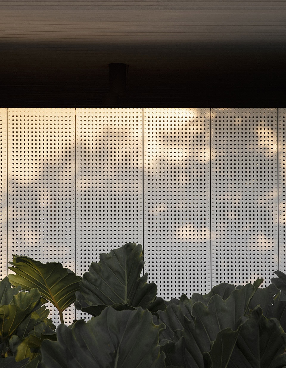 巴西 Trancoso 住宅,金属结构与有机材质的完美融合-49