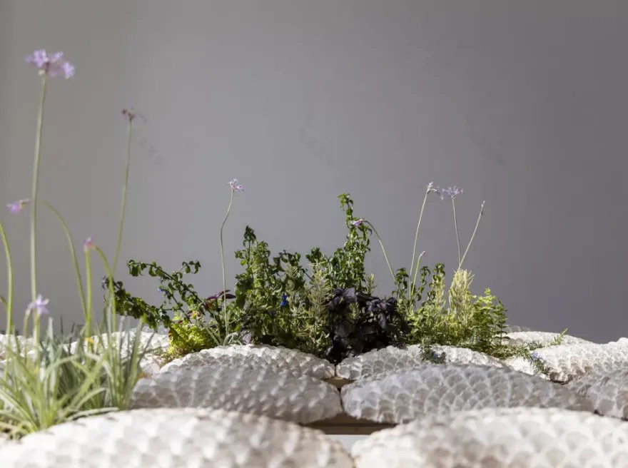 丨比利时丨梅 玲·洛克(МэйЛинг Локко)-18