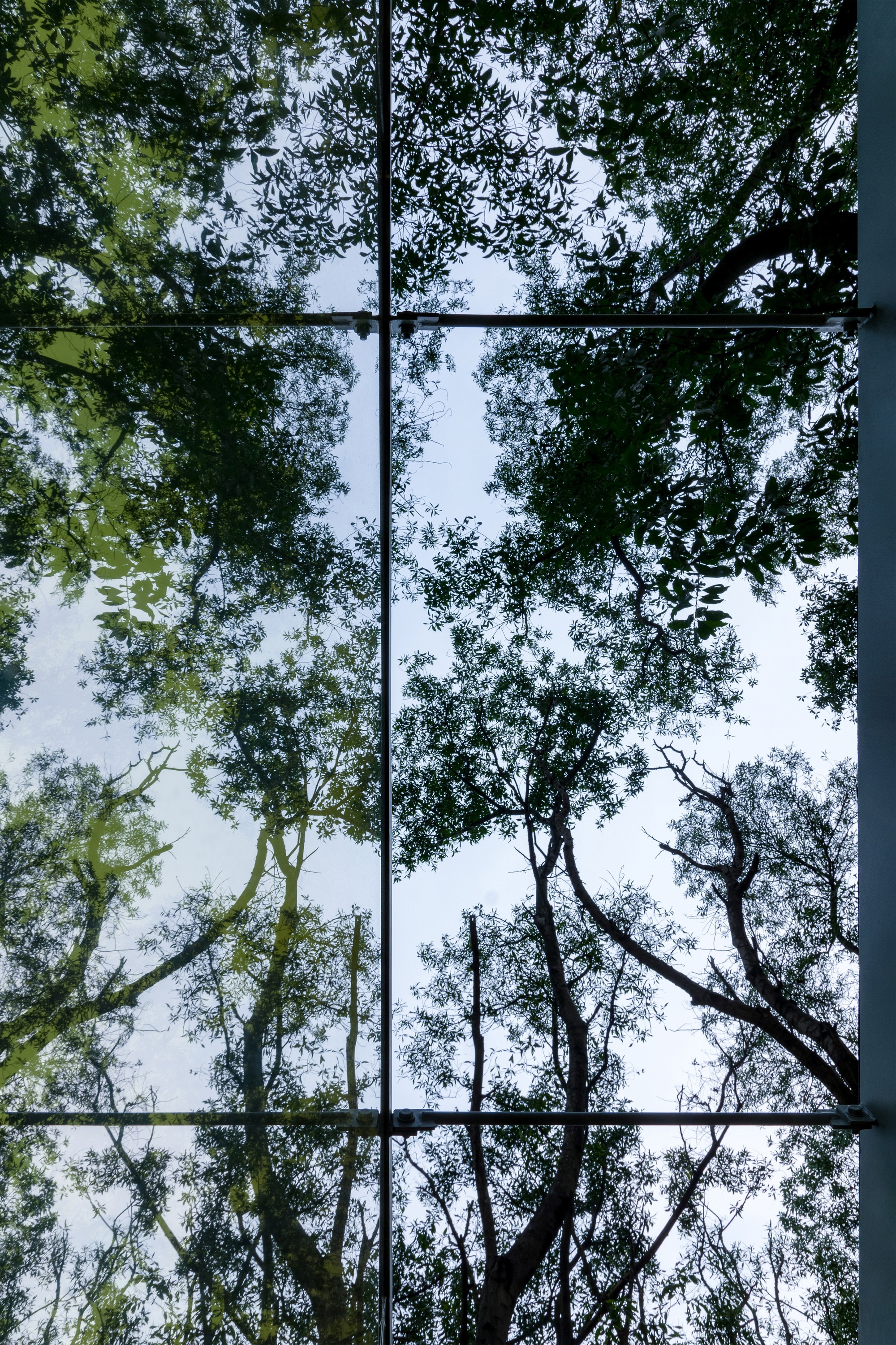 丨印度丨Tamara Wibowo Architects-46