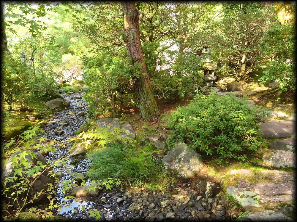 知恩院友禅苑,華麓庵,白寿庵,知恩院方丈庭園丨日本京都-30