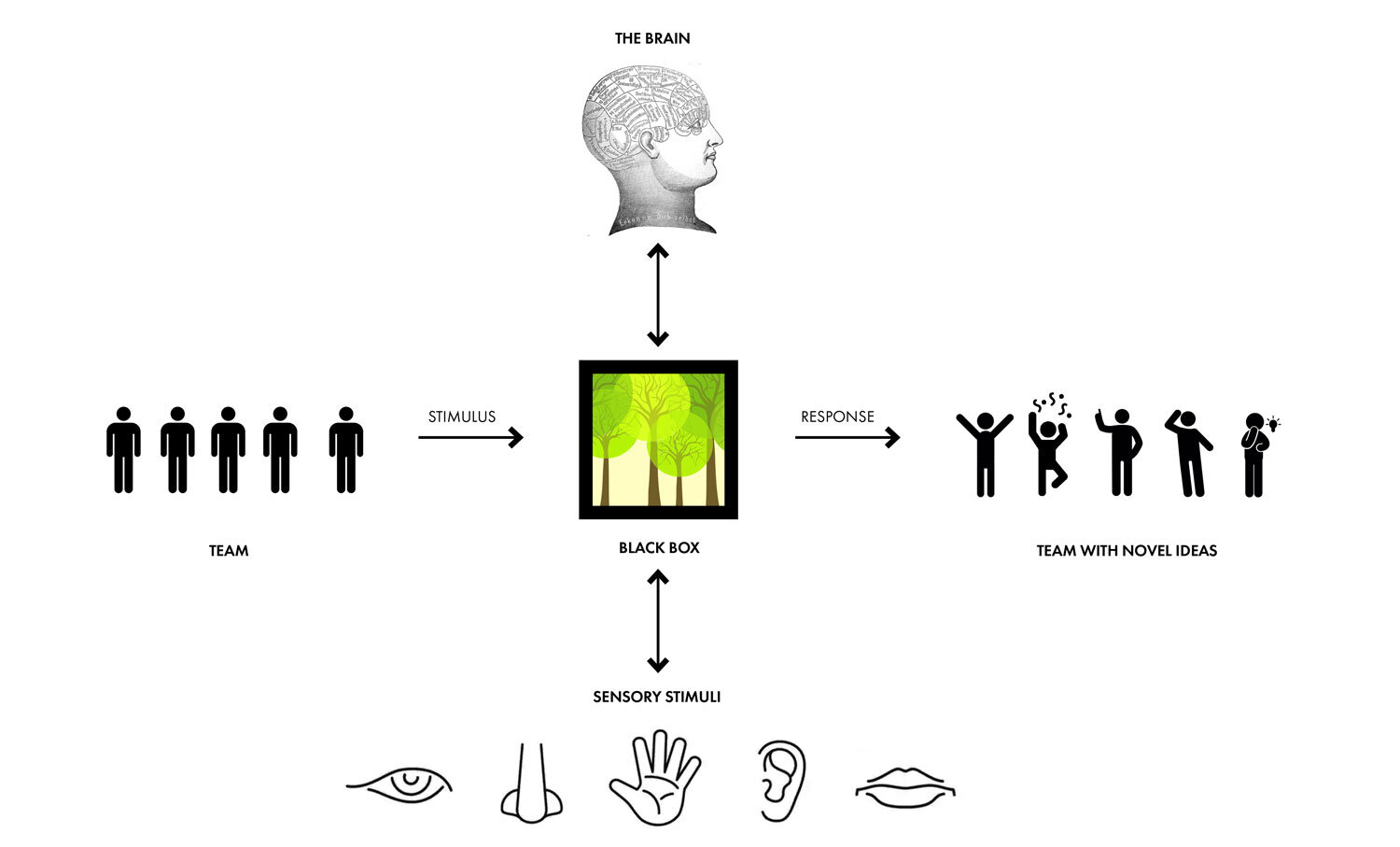 地形作业 温泉丨美国加利福尼亚-4