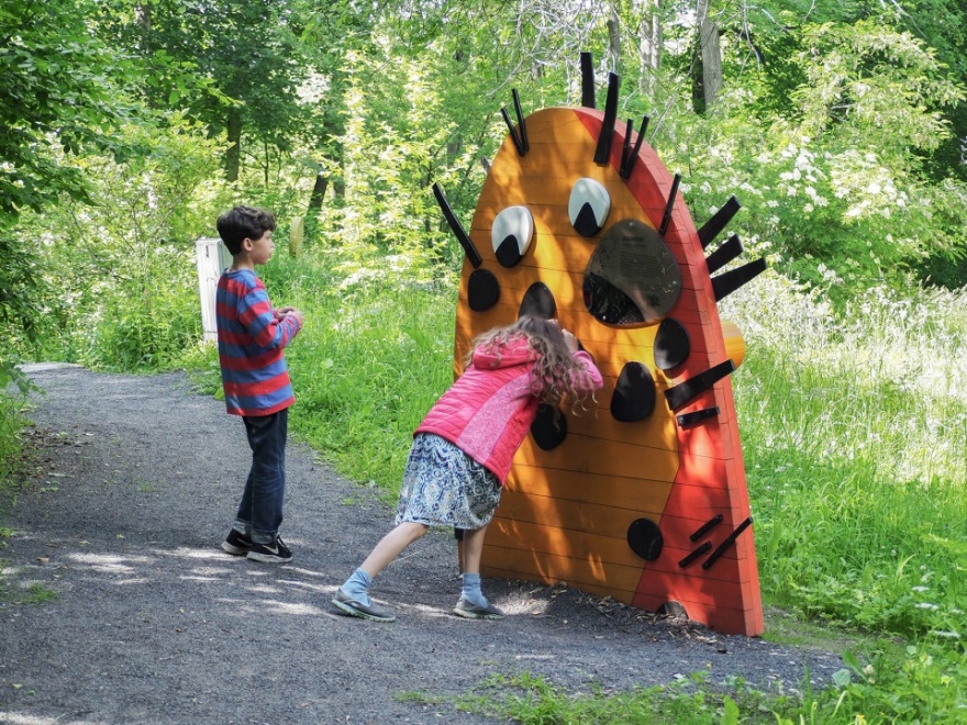 埃尔福特艾格公园知识森林丨德国丨德国雷瓦德景观建筑事务所-47