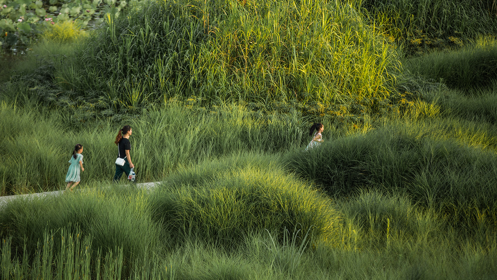 重庆潼南大佛寺湿地公园 / 土人设计-29