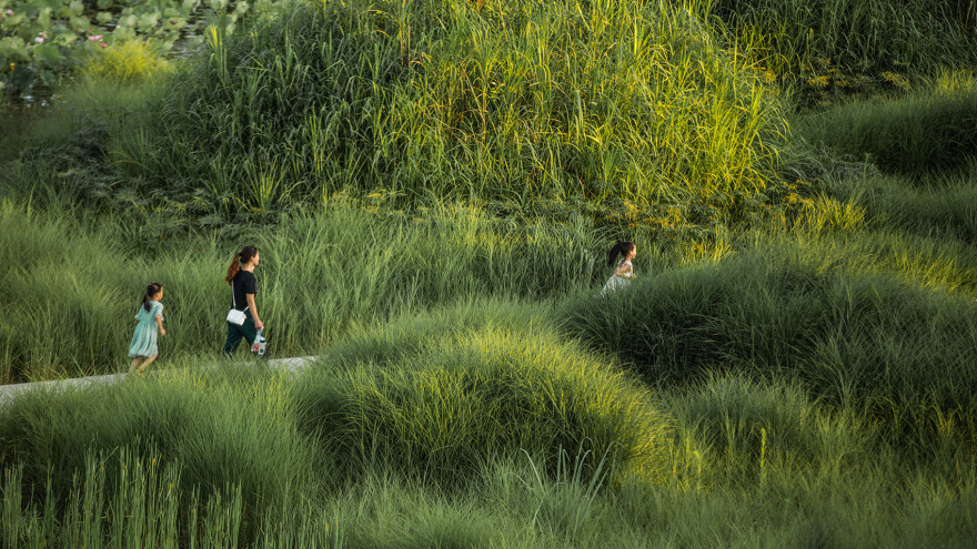 重庆潼南大佛寺湿地公园 / 土人设计-29