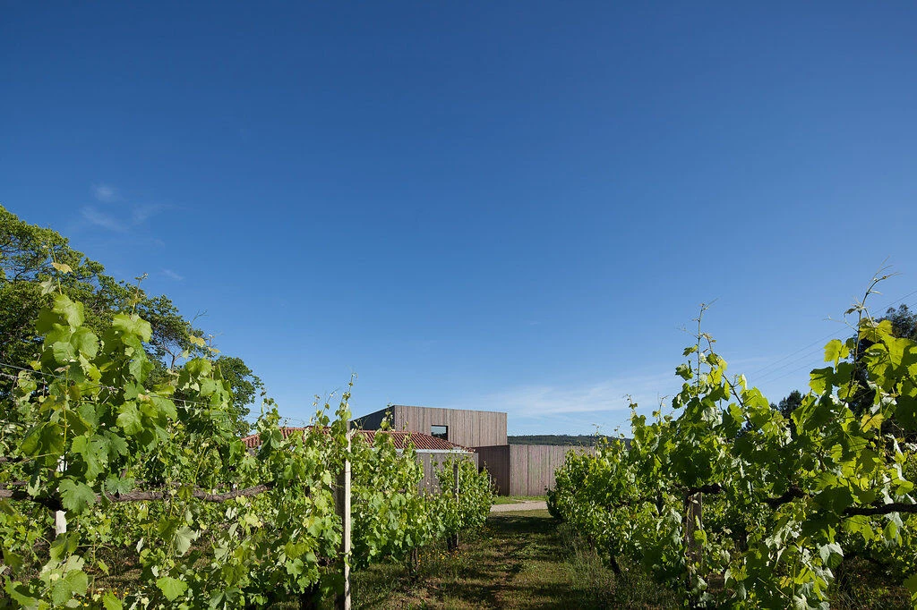 葡萄牙酒庄酒店-22