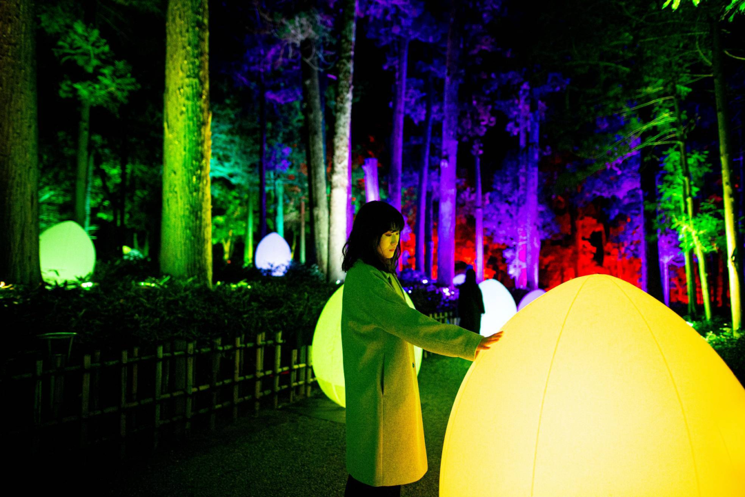 teamLab偕乐园光之祭丨日本-21