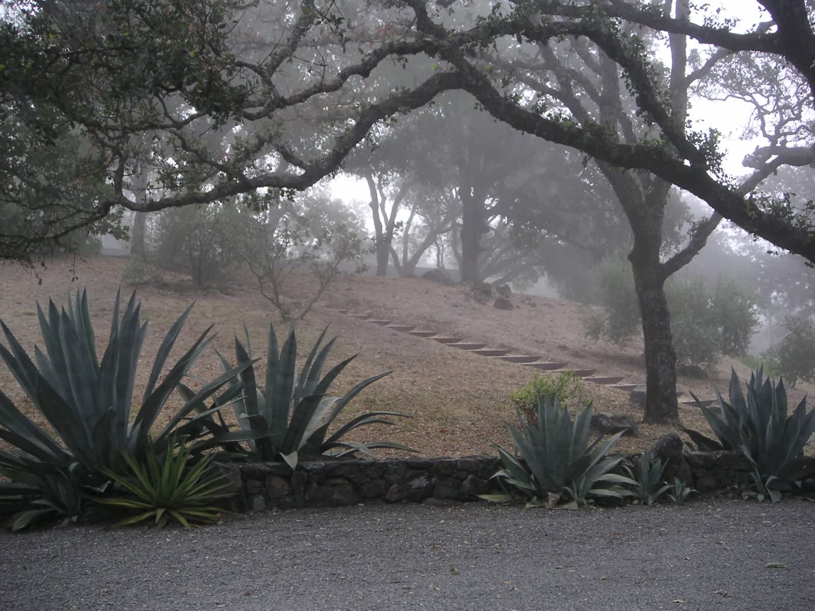 奥利弗牧场景观丨美国加利福尼亚丨不详-6