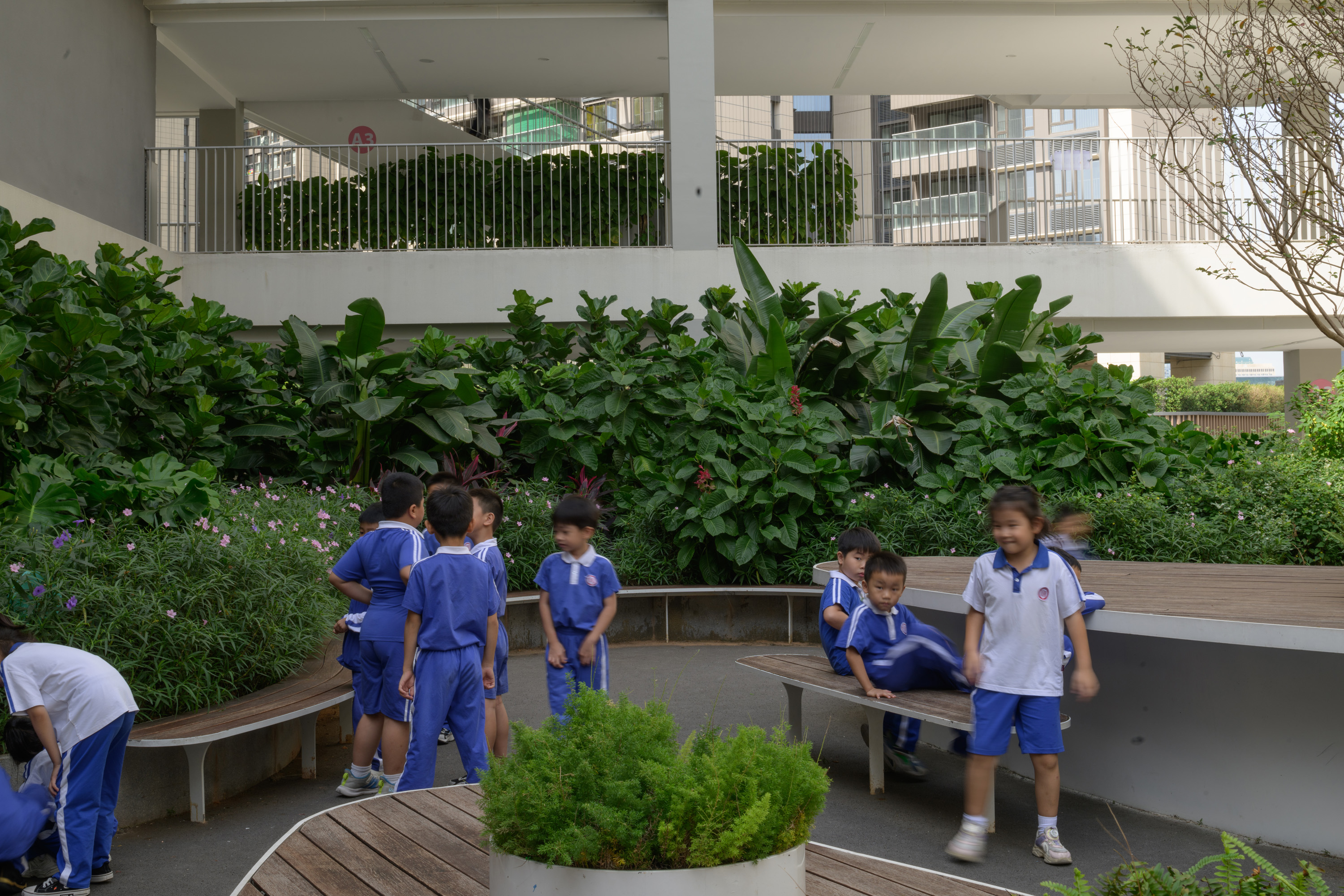 红岭教育集团 华富实验学校丨中国深圳丨大小景观,深圳市建筑设计研究总院有限公司,广州天泓-12