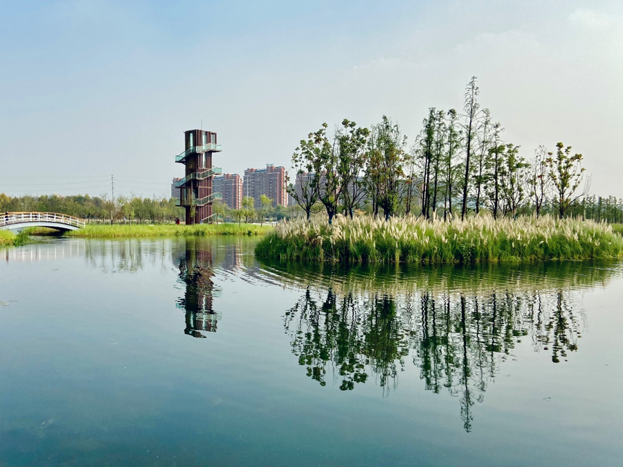 芜湖江东水生态海绵公园丨中国芜湖丨上海市政总院-30