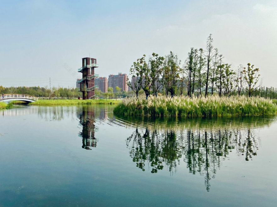 芜湖江东水生态海绵公园丨中国芜湖丨上海市政总院-30