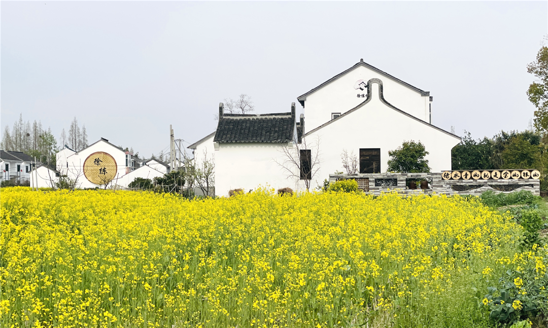 境作|恋“练”春光，“宝藏”踏青地：青浦徐练村，有多好逛？-44