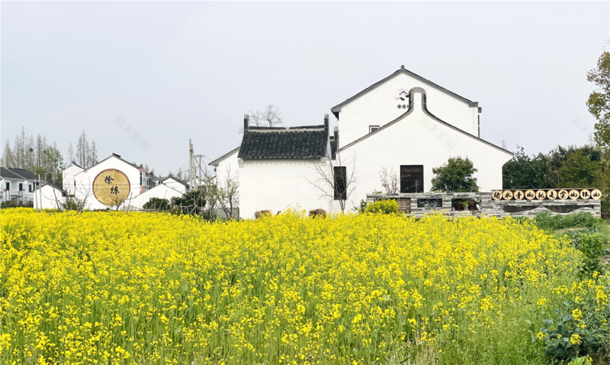 境作|恋“练”春光,“宝藏”踏青地:青浦徐练村,有多好逛?-44