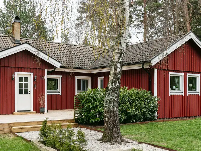 绿意盎然 · 北欧风家居的植物魔法-11