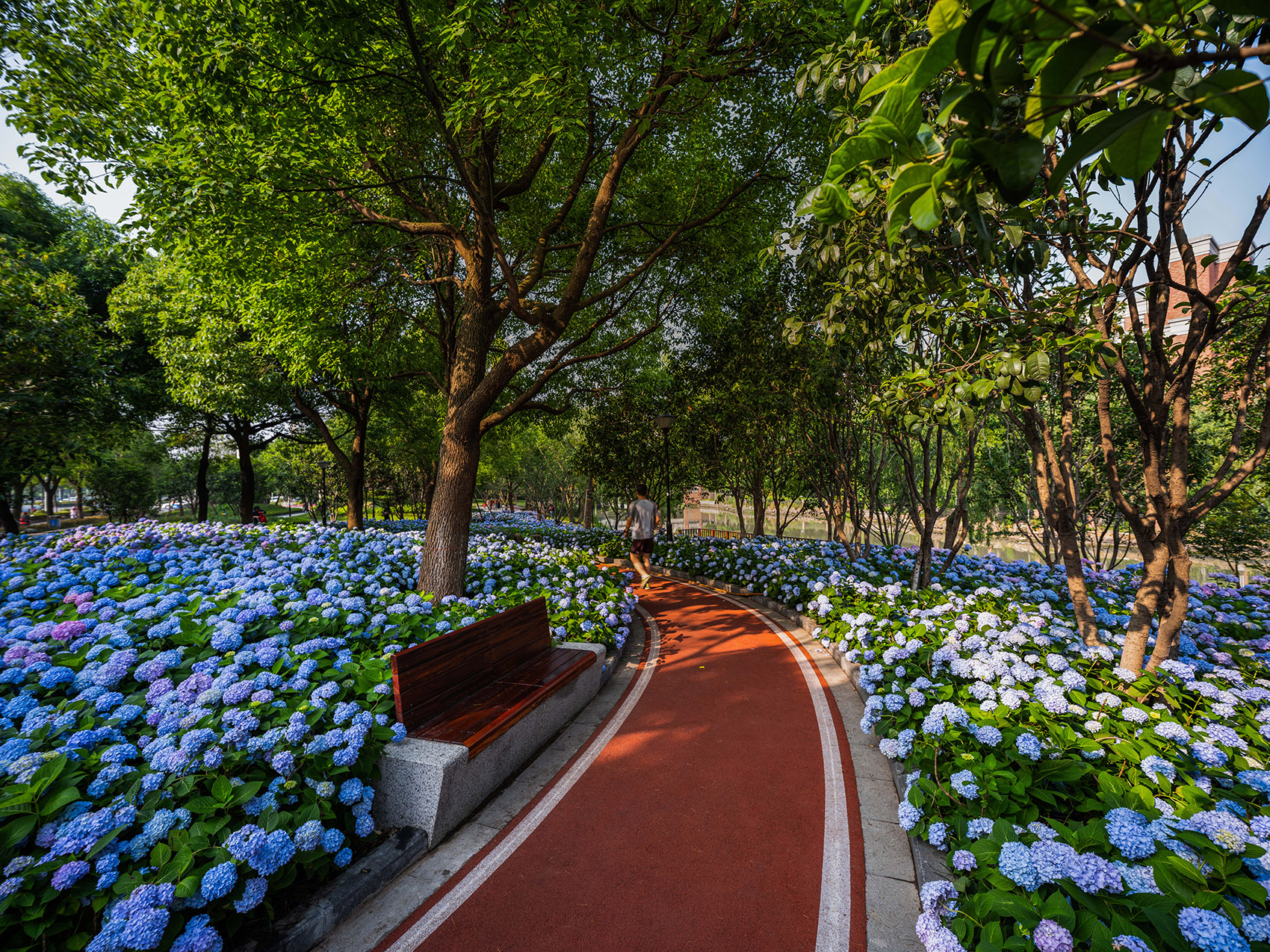 嘉兴口袋公园-32