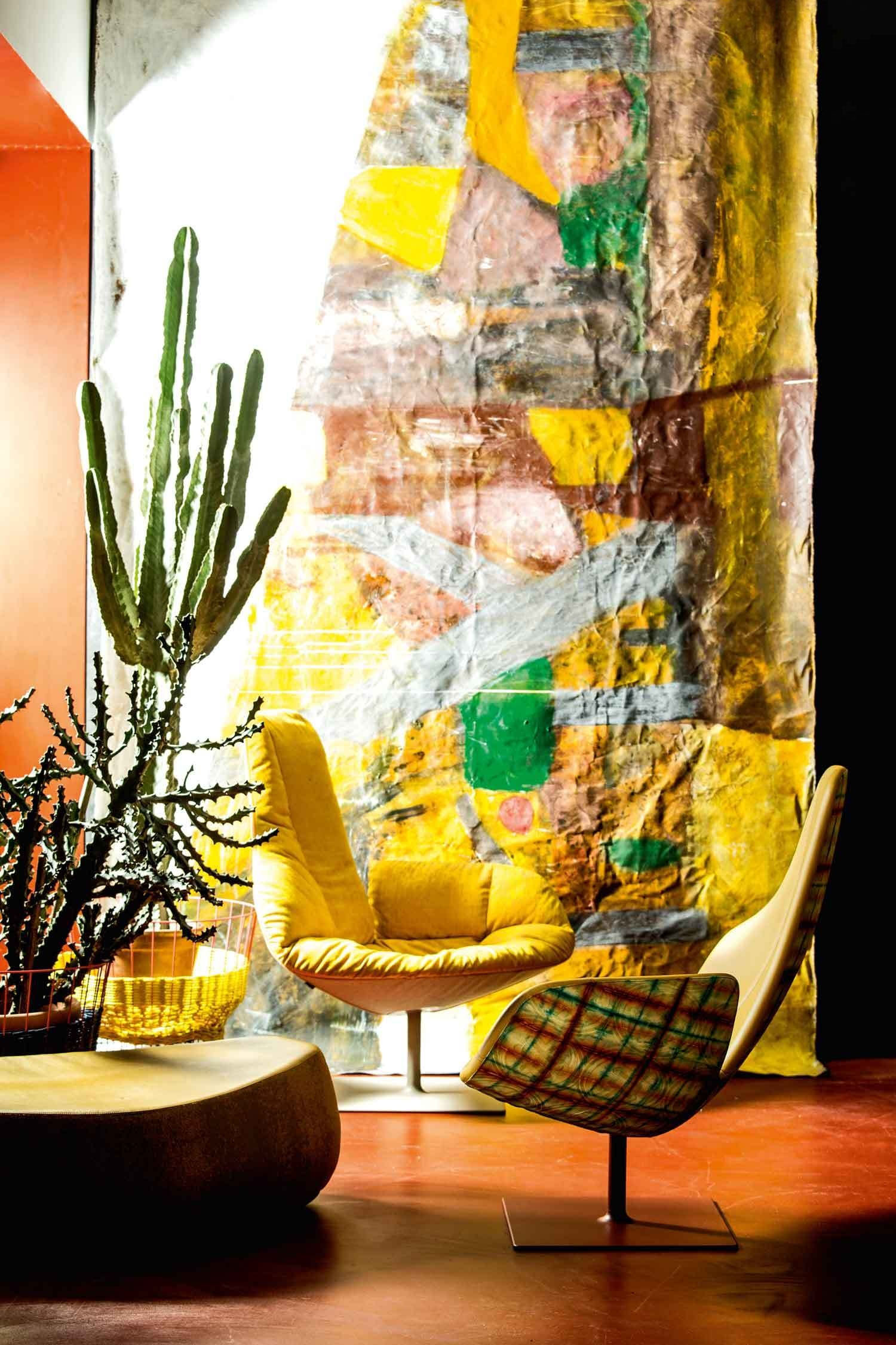 Patrizia Moroso的房子-18