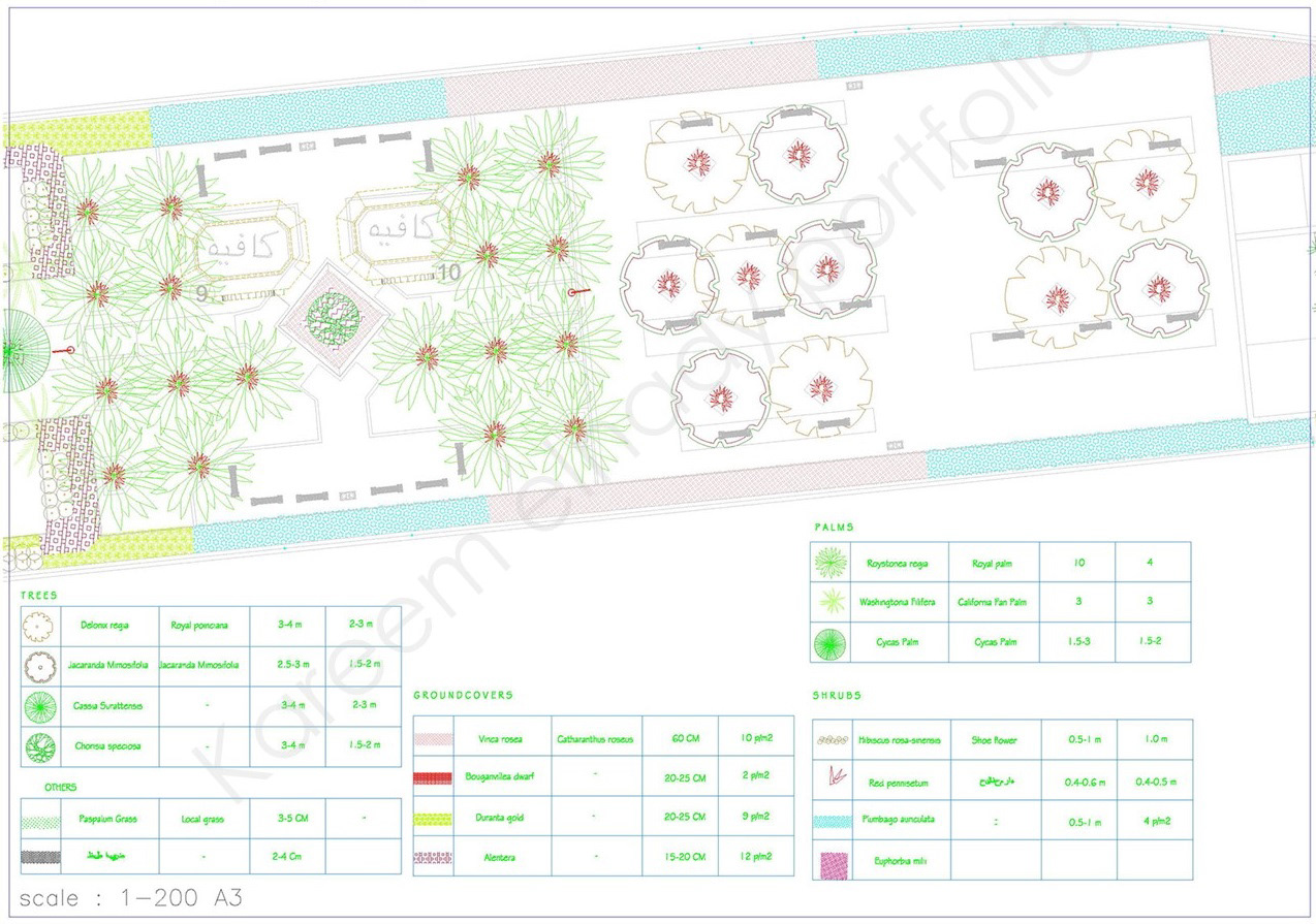 El  Nasr avenue景观及视觉形象改善项目丨埃及-10