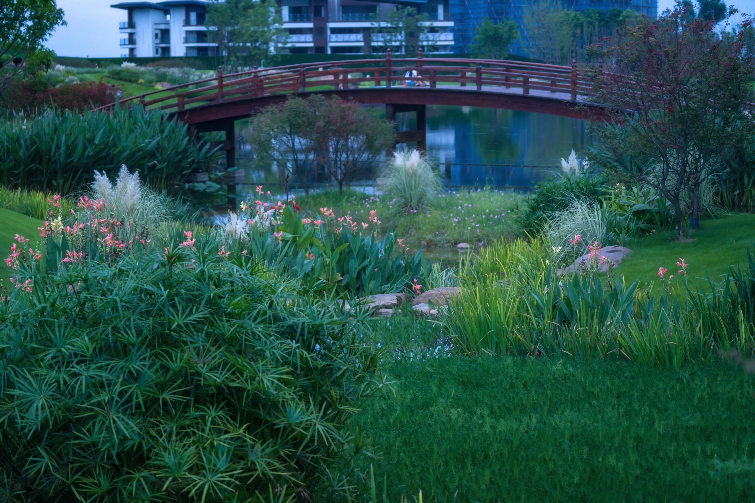 峨眉·高桥小镇丨中国眉山丨四川乐道景观设计有限公司-27