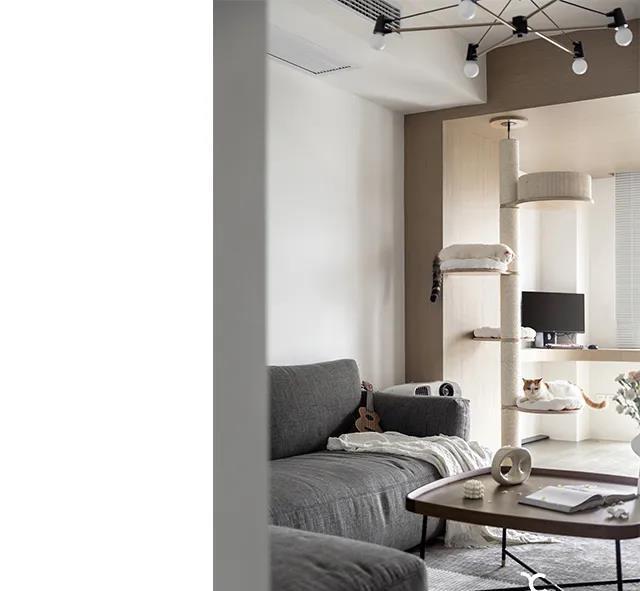 小户型逆袭,猫奴一家三口的幸福宅-15