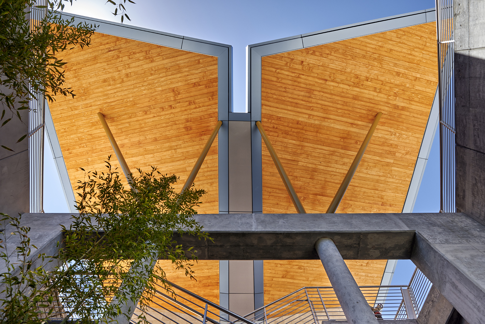 美国 Folded Wings 办公园区丨Form4 Architecture-12