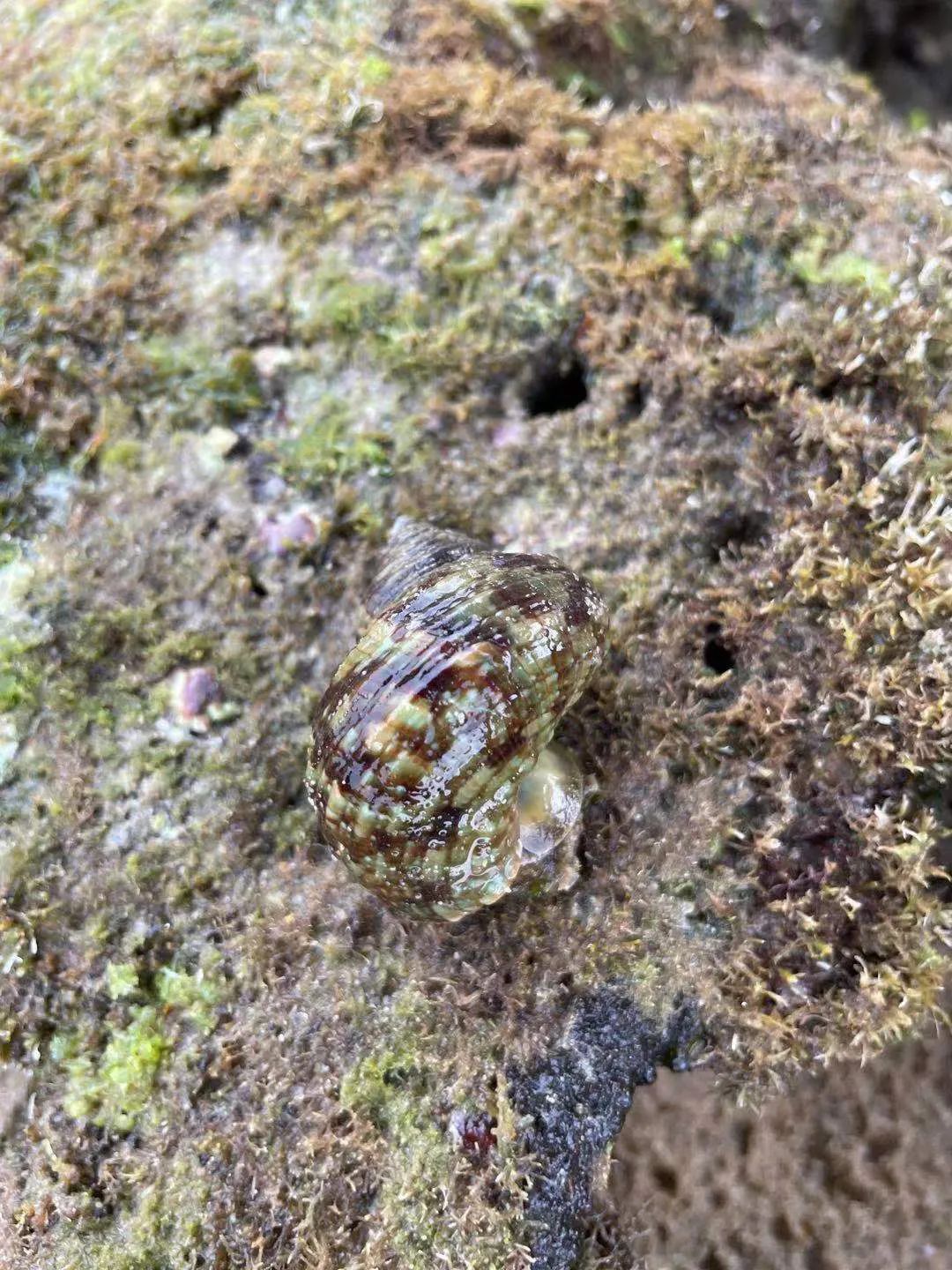 海南度假胜地室内设计丨中国海南丨格堂设计-241