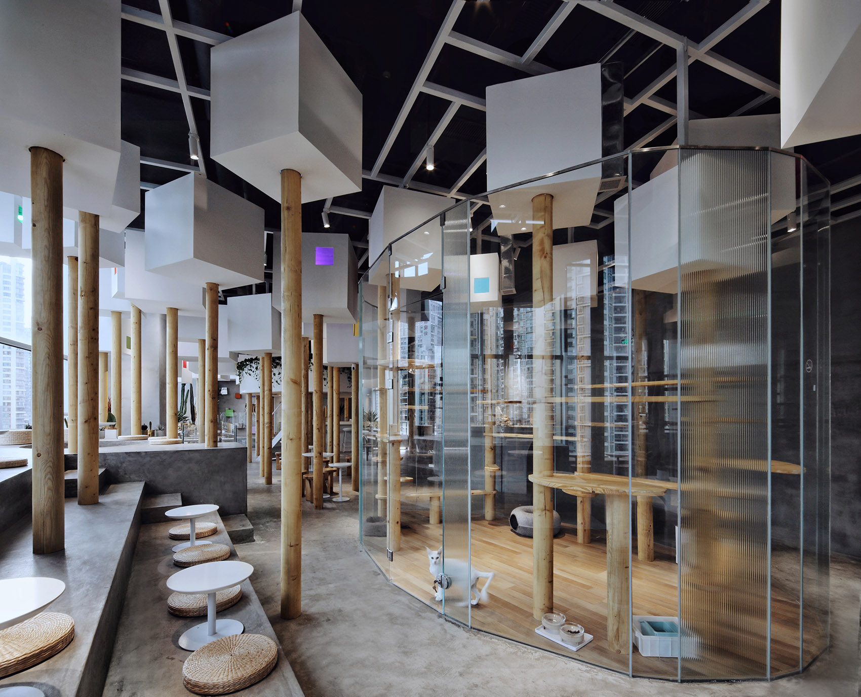 深圳TFB动物咖啡厅-9