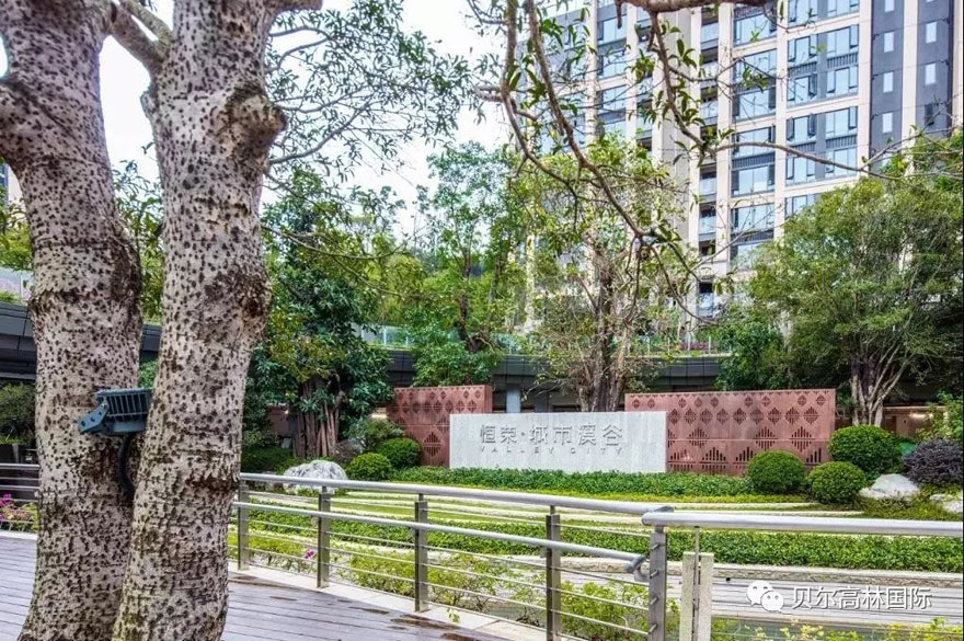 珠海恒荣·城市溪穀 | 绿色生态与艺术的完美融合-29