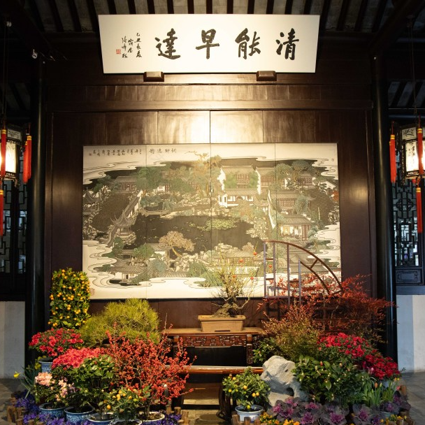 夜游网师园必看!带你解锁古典园林夜魅力-35