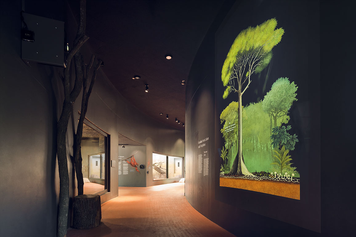 德累斯顿动物园猩猩馆丨德国德累斯顿丨未明确提及室内设计方,合作有Rehwaldt景观建筑师事务所-17