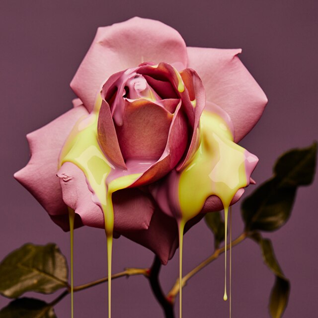 You can now buy Vicki Lee’s floral artworks online-3