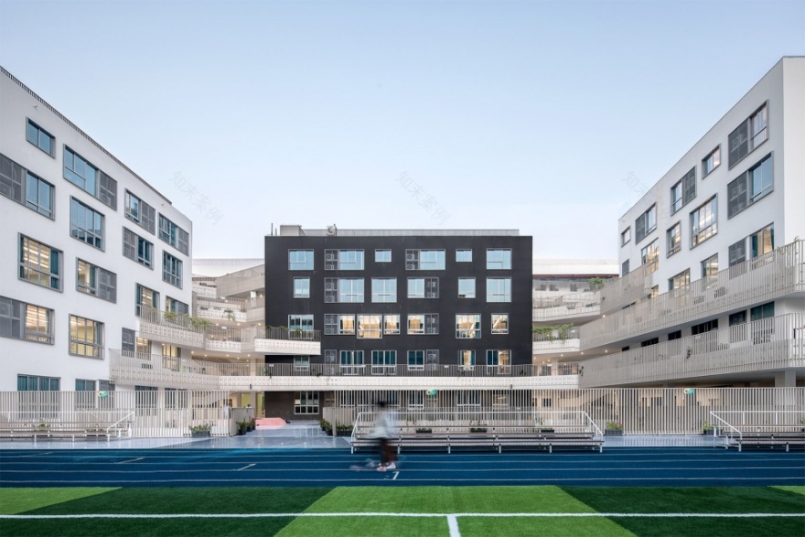 深圳桃园小学 | 高楼林立下的“城市绿洲”-5