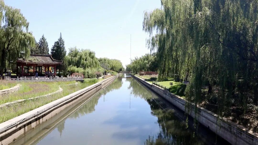 海淀新添宝藏打卡地！古风茶咖随手拍，就在这个公园——-19