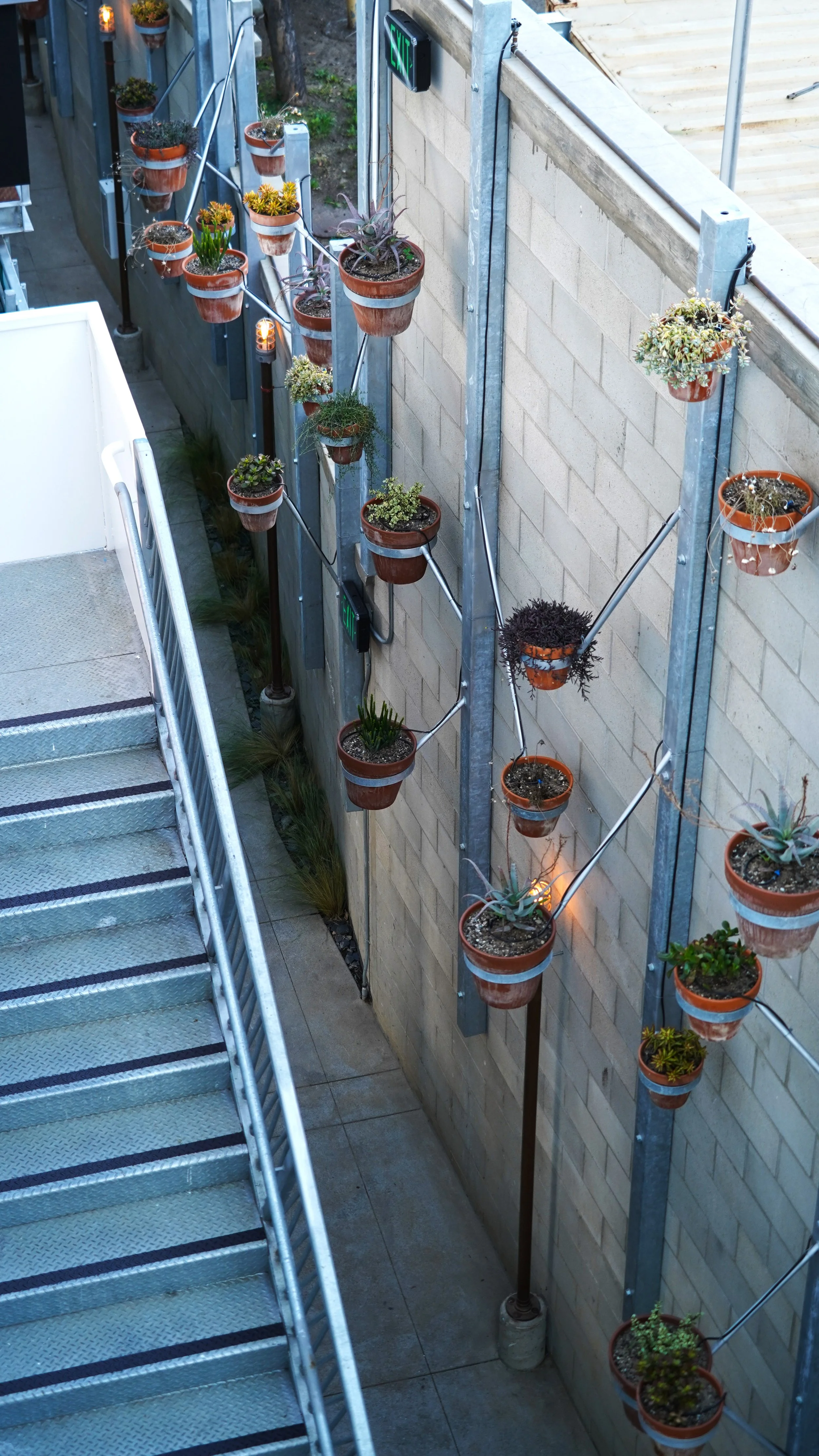 达芙妮·麦卡洛 · 圣地亚哥丨美国-15