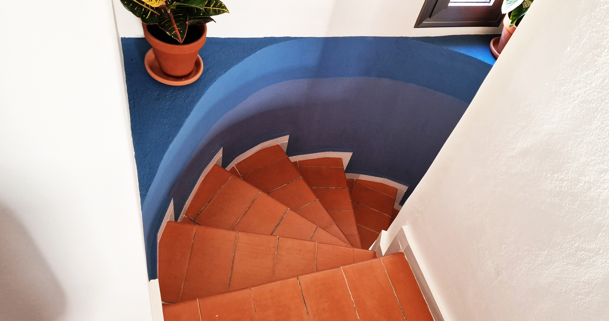 自由之家丨西班牙丨GRAO-39