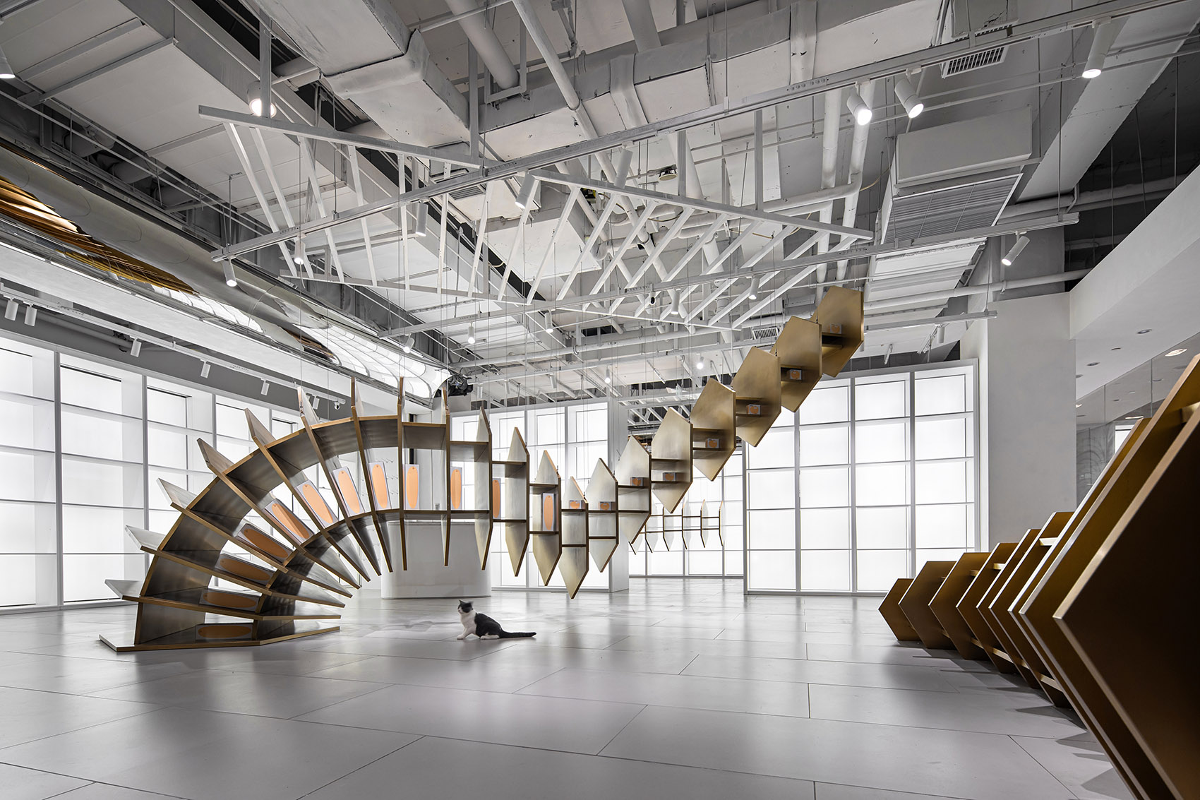 杭州三只尾巴-pidan线下品牌体验店 | 泛域设计-17