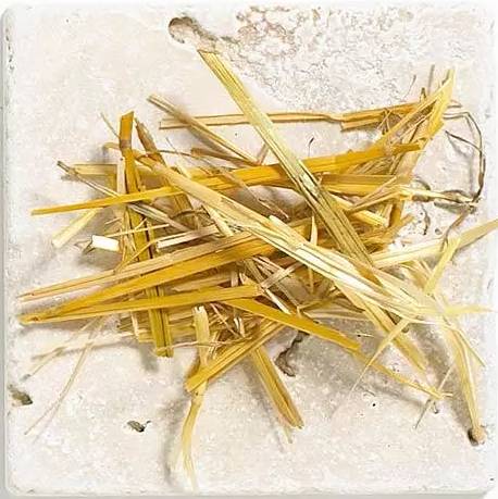 庭院花境中的土壤覆盖物设计与应用-35