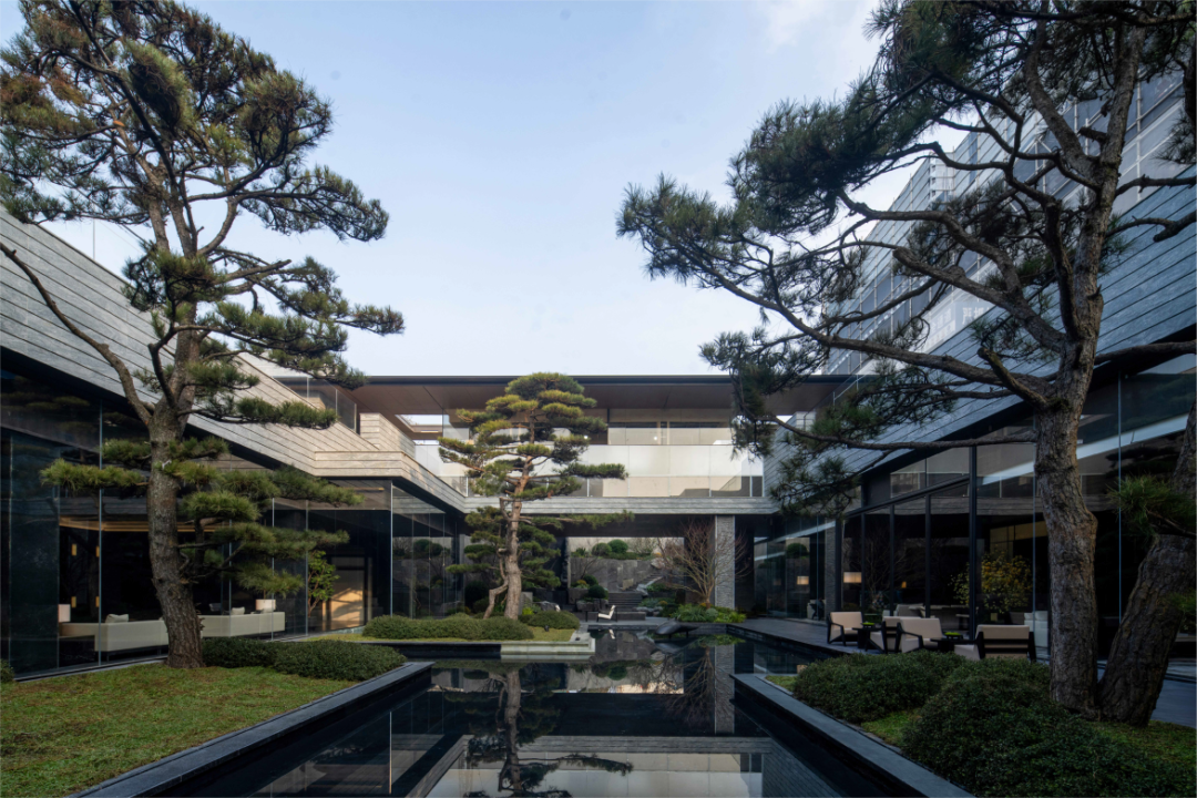 寻隐山水间 归心东方境 | 合肥越秀·和樾府 展示区-59