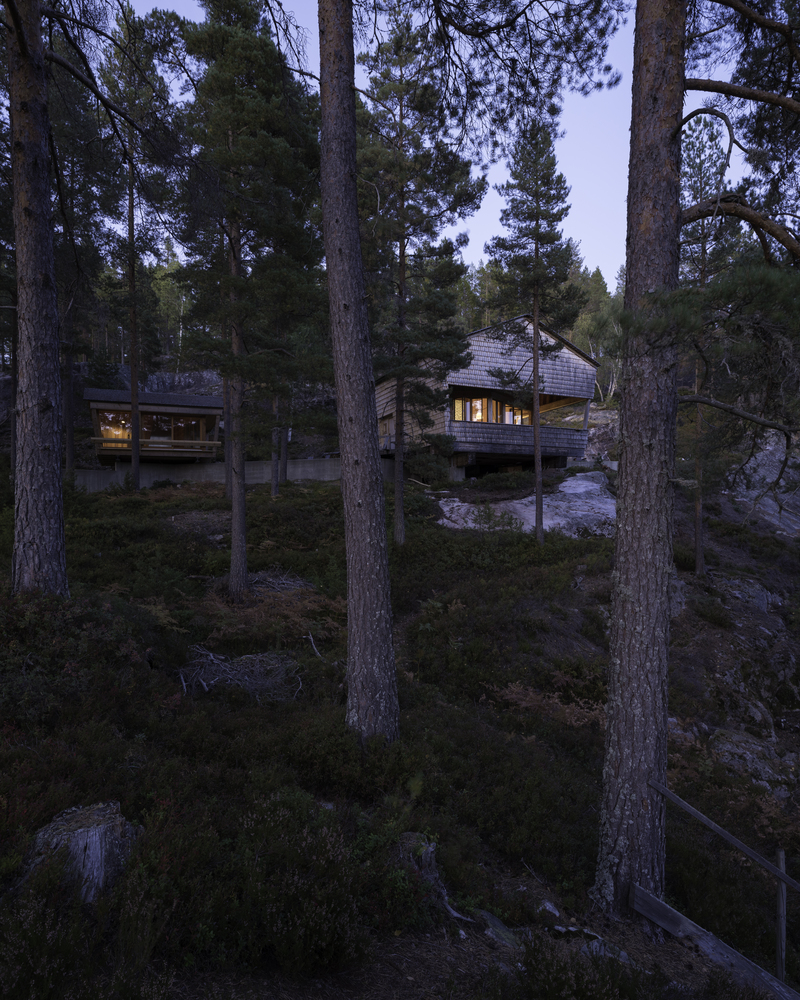 挪威杜鹃的巢室-12