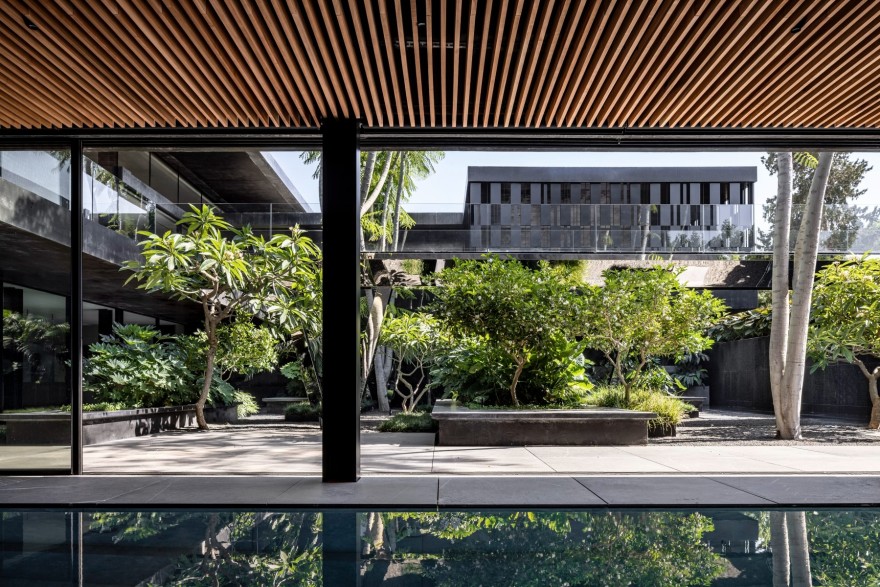 黑色混凝土房屋丨以色列丨Pitsou Kedem Architects-16