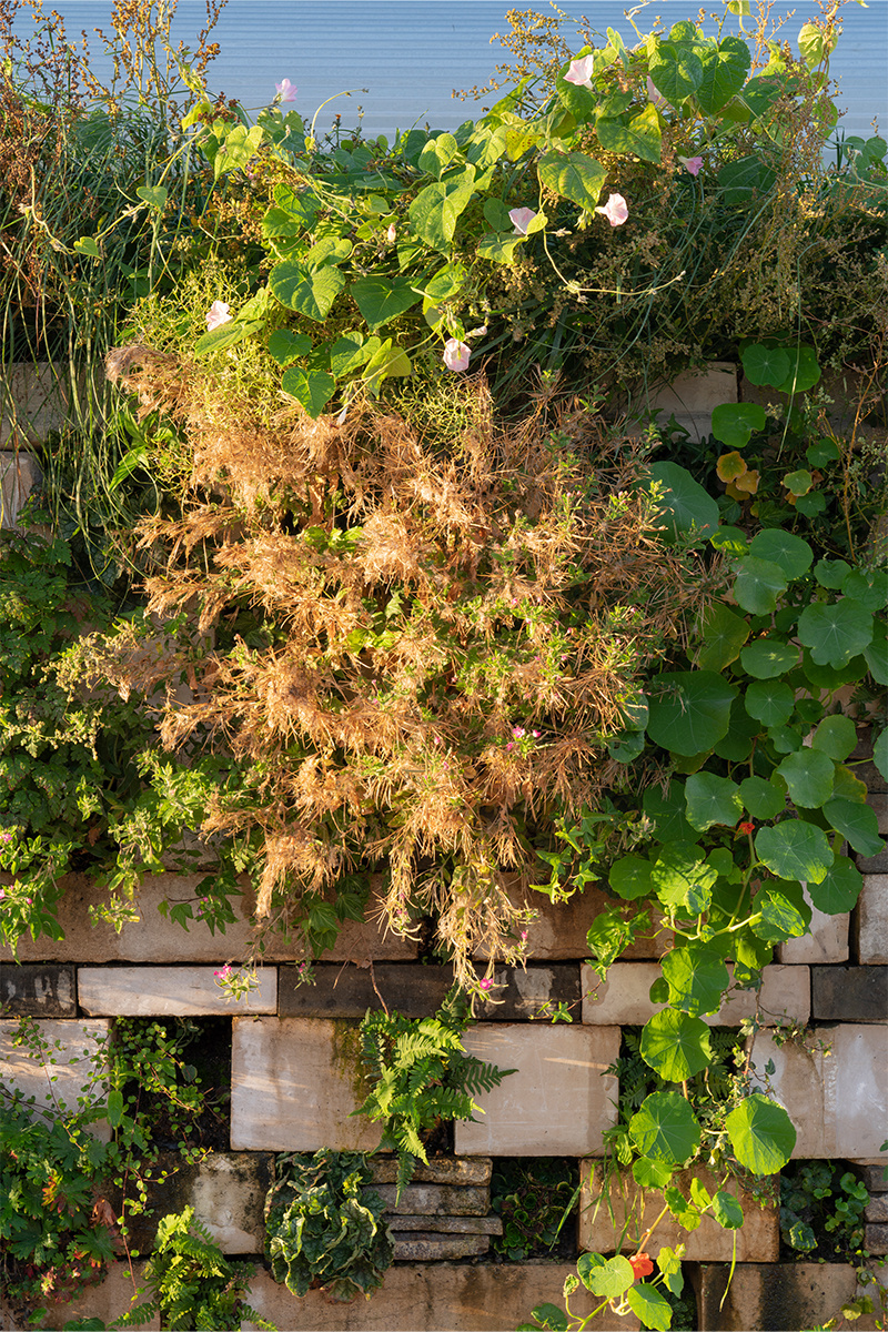 Pavillon de la Bap!-9