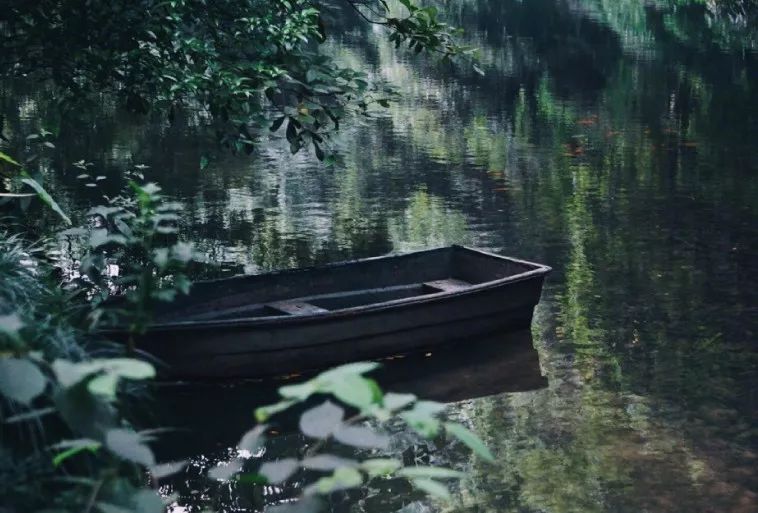 闲暇时光,品读八月的诗与远方-98