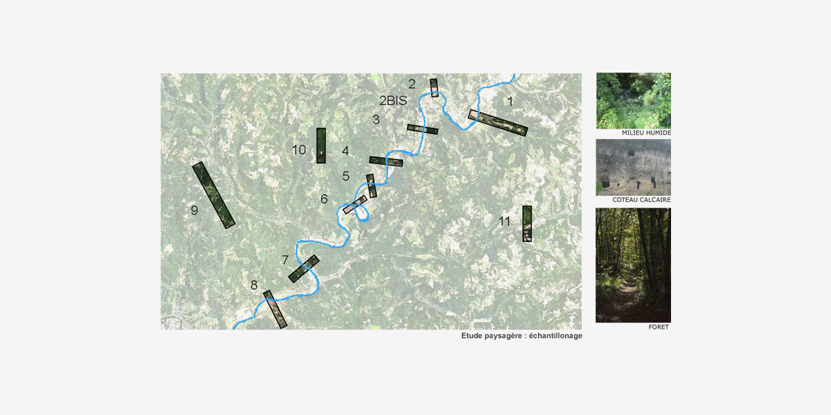 丨CoCo architecture等多家-5